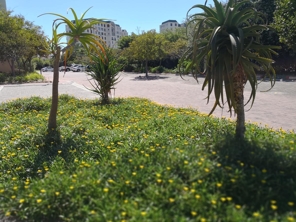 Majorca Apartments By Bon Hotels Città del Capo Esterno foto